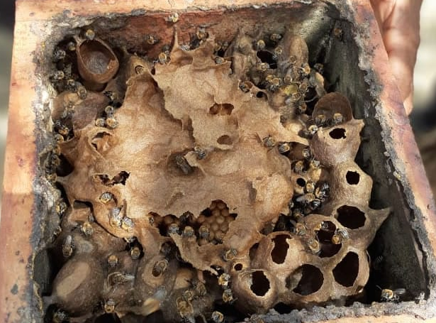 Produtos 100% Natural